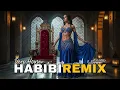 Habibi Remix Arabic | Emotional Deep Desert Journey 2025