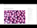 How To Use Bloom Shortcodes