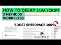 How to delay the JAVA script for the WordPress site page to Speed BOOST the website