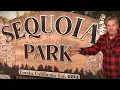 full Explore Humboldt County s Coastal Redwoods with Eric Hollenbeck