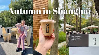 初秋与外籍人士生活分享 |《上海范儿》第43集