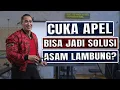 Download Lagu PUNYA ASAM LAMBUNG? CUKA APEL BISA JADI SOLUSI!