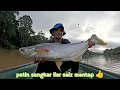 Download Lagu Patin sangkar liar saiz mantap vs kayangan 
