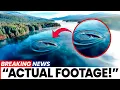 Download Lagu Alaska’s Version of Jaws Is Real... And It’s Bigger Than You've Ever Seen