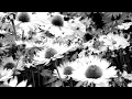 Jozzy-Maybe