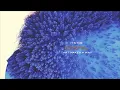 Ryan Stevenson - The Gospel (Official Lyric Video)