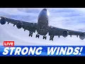 Lagu 🔴LIVE SNOWY CROSSWIND LANDINGS at CHICAGO O'HARE AIRPORT | AVGEEK ORD PLANE SPOTTING | STRONG WINDS