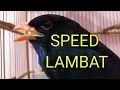 Download Lagu TENGKEK BUTO SPEED LAMBAT|MASTERAN AMPUH