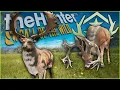 I Hunted 2 Great Ones In 1 Week Fabled Painted Fallow Tight Whitetail Deer Call of the wild