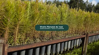 Viveiro Florestal