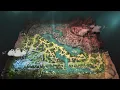 Dota 2 New Map Patch 7 38 Dota 2 NEW UPDATE