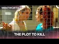 A Villain Makes an UNTHINKABLE Offer to Destroy a Mutual Foe - Wentworth BEA KAZ FERGUSON