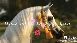 سلام علي الدنيا     شعر روعه    دندنها