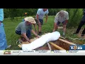 WVLT Original No casket No problem Some Tennessee residents are going back to natural burials