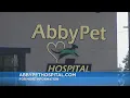 Inside Abby Pet Hospital