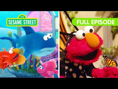 Download MP3 Elmo's Animal Friends! | FOUR Sesame Street Full Episodes