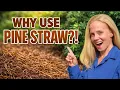 Pine Straw vs Wood Mulch Which is BETTER for Your Garden