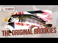 How the DNR is Raising and Stocking Genetically Original Brook Trout