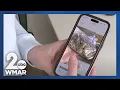Man facing 56 charges related to pet cremation scam