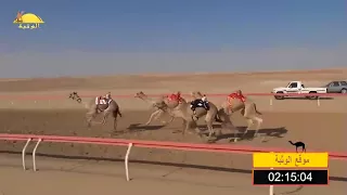 الشوط 17 العنود لـ حمدان بخيت فطيس المنصوري شارة الإتحاد الجمعه 2017 11 3 ميدان غياثي ايذاع 