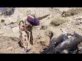 Download Lagu Hope Among the Spring Water and the Rocks: Banu Zari's Mountain Dreams
