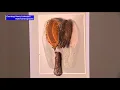 Photo exhibit shows never-before-seen objects from attacks