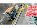 Take a ride with a robotic packing system at Matson Fruit