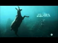 Video di Les Revenants - Générique Saison 1 (The Returned FRANCE - Opening Season 1)