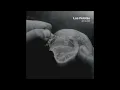 Las Pelotas - Sin la piel (AUDIO)