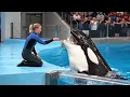 Download Lagu jessica radcliffe orca attack video| Jessica Radcliffe real video 