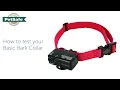 How To Test the Basic Bark Dog Collar