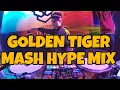 Download Lagu DJ NANDOZ SUNSHINE || GOLDEN TIGER MASH HYPE MP3