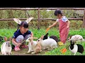 Download Lagu Yuk Kasih Makan Kelinci Lucu dan Kasih Minum Susu Sapi - Mengenal Binatang untuk Anak Anak