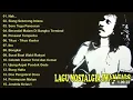 Download Lagu Iwan Fals Full Album Nostalgia Terpopuler   Nak    Siang Seberang Istana   Bongkar   Ibu