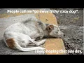 San Francisco SPCA Yesterday and Today
