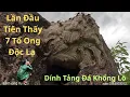 Download Lagu Chưa Bao Giờ Thấy Những Tổ Ong Độc Lạ Làm Dính Tảng Đá Khổng Lồ 