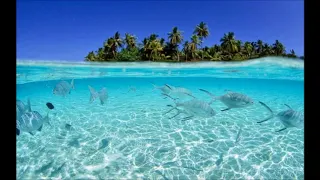 سورة إبراهيم الشيخ مشاري راشد تلاوة قديمة 