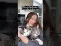 Download Lagu Just a single mom of 6… fur babies 🐱🐱🐱🐱🐱🐶 #imamommy