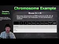Counting Chromosomes and DNA Molecules in Mitosis and Meiosis Example Problem Genetics
