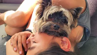 Crew DOWN! What do we do now? – Onboard Lifestyle ep.193