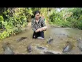 Download Lagu The girl was walking into the forest when she came across a large school of carp