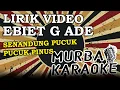 Download Lagu EBIET G ADE - SENANDUNG PUCUK-PUCUK PINUS (LIRIK VIDEO)