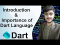 DART COMPUTER LANGUAGE INTRODUCTION IMPORTANCE OF DART AND WHERE WE USE IT