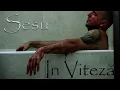 Sesu - In Viteza