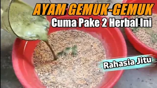 Download PAKAN MURAH UNTUK SEMUA JENIS AYAM KAMPUNG MP3