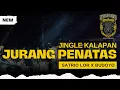 Download Lagu DJ BANTENGAN KALAPAN JURANG PENATAS X KIDUNG ASMO SEJATI JINGLE SATRIO LOR X BUDOYO | FULL KALAPAN