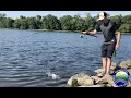 Catfish Hot Tip