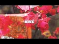 Augan – Love