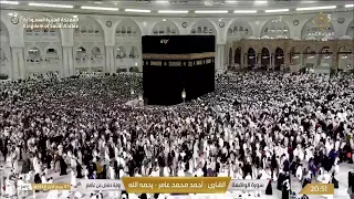                 بث مباشر مكة المكرمة الآن                      دندنها