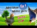 Download Lagu Prenjak Betina Tir Panjang dan Rambatan Sadis || Masteran Murai Batu Irama Lagu